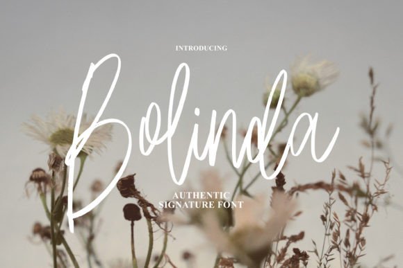 Bolinda Font: Adding Elegance to Brand Identity