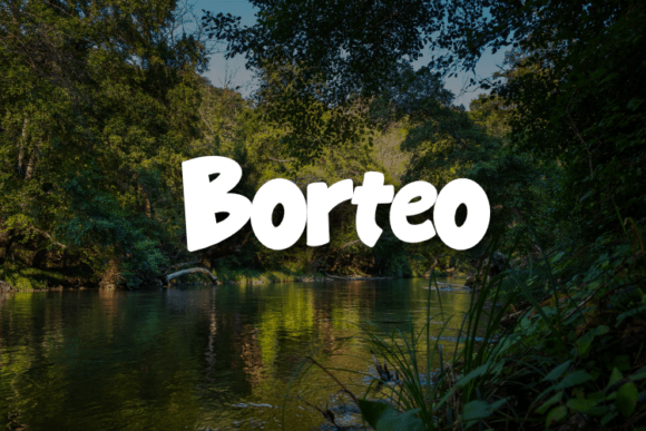 Borteo Font: Elevating Campaign Visuals with Script Amp Style