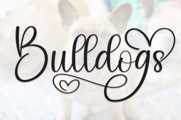 Bulldogs Font: A Designer’s Review for Campaign Visuals